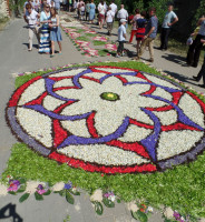 Flower carpets in Spycimierz