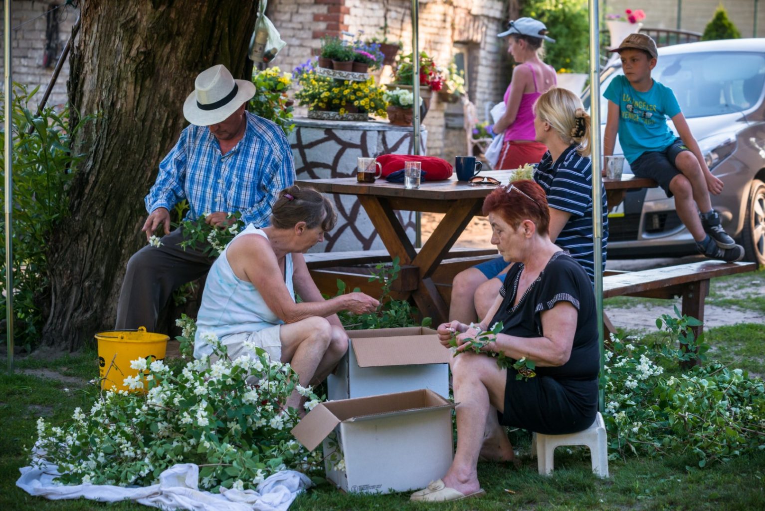 Grupa osób siedzi w ogrodzie i wyrywa płatki ze ściętych kwiatów, a następnie wrzuca je do kartonów