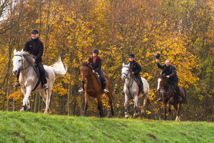 Reiten